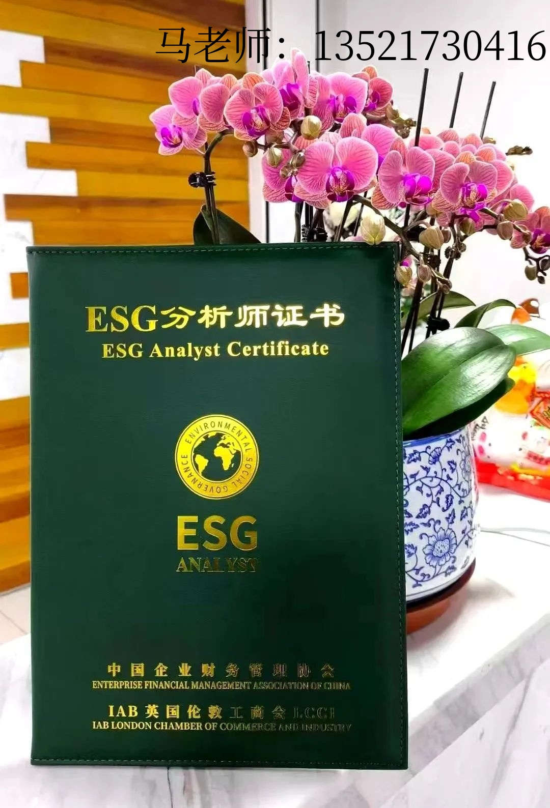 640电话.jpg 逐梦国际 d0390