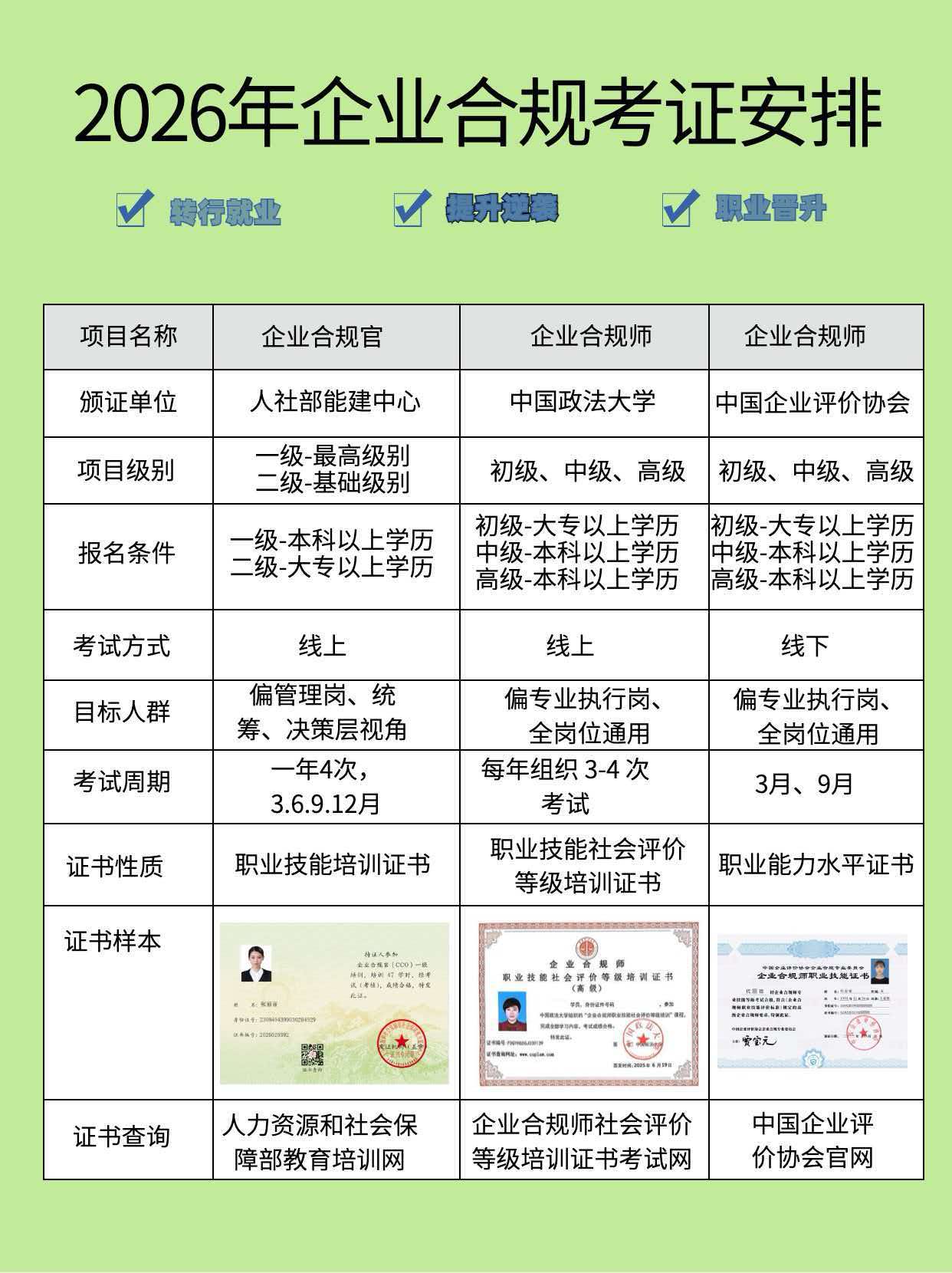 微信图片_20260825080527_2589_1583.jpg 逐梦国际 7179a